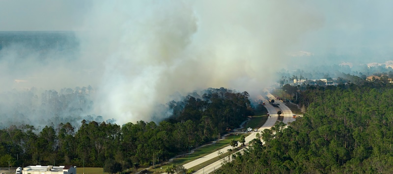 wildfire