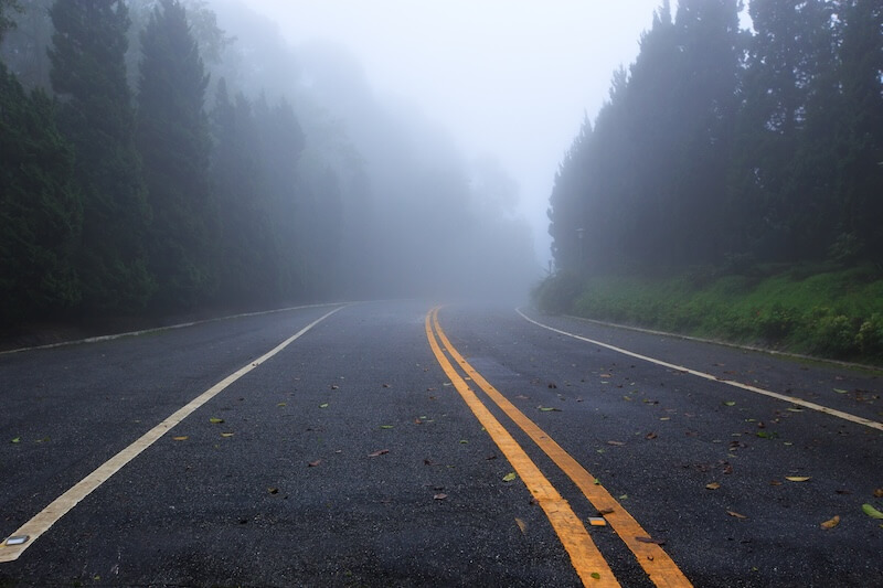 fog on the road